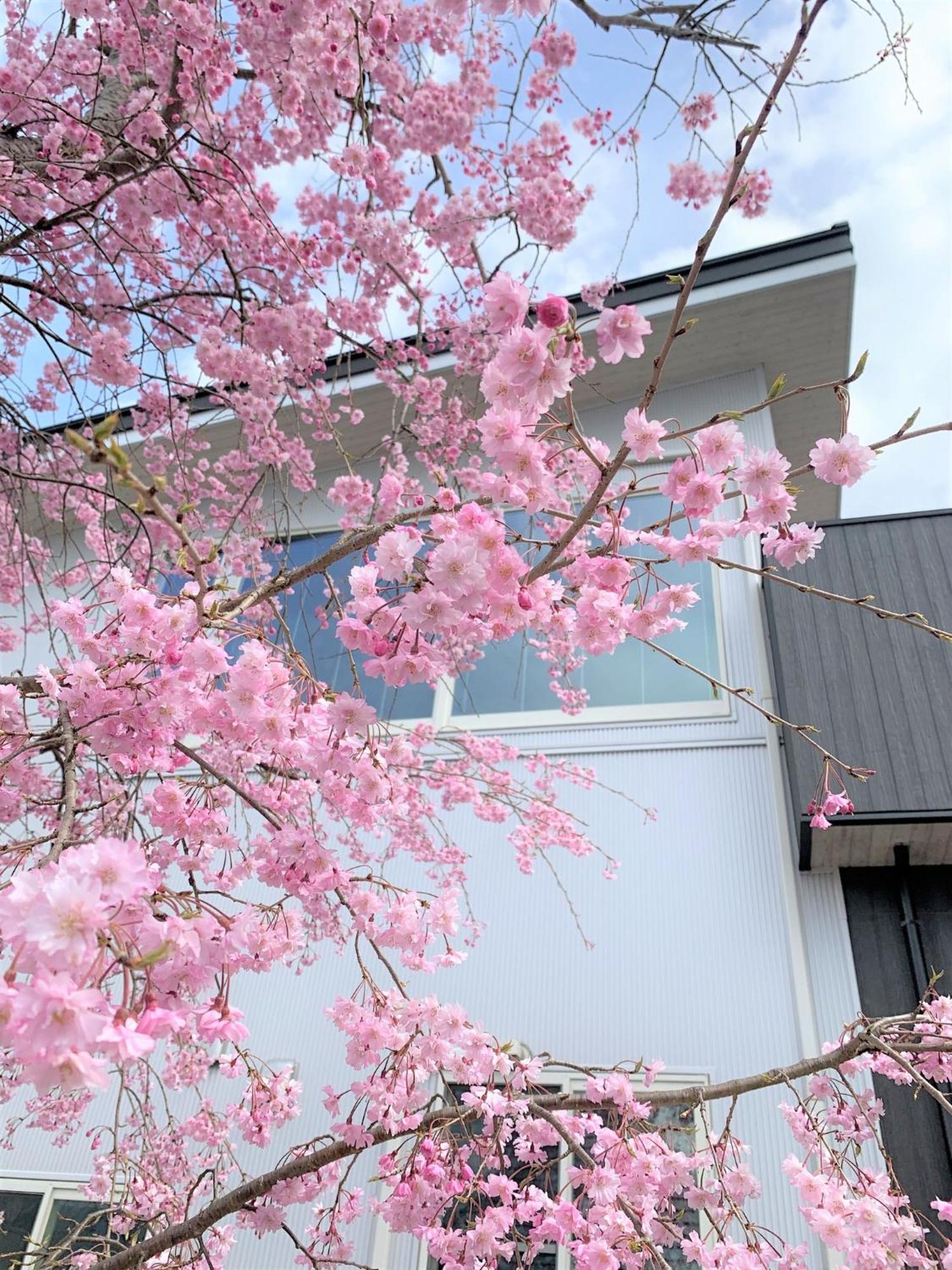 Sweet Villa Takasama - Vacation Stay 11775 富士吉田市 エクステリア 写真